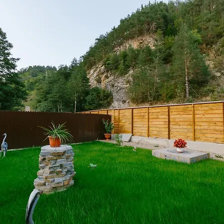 Casă la țară Casa Vio